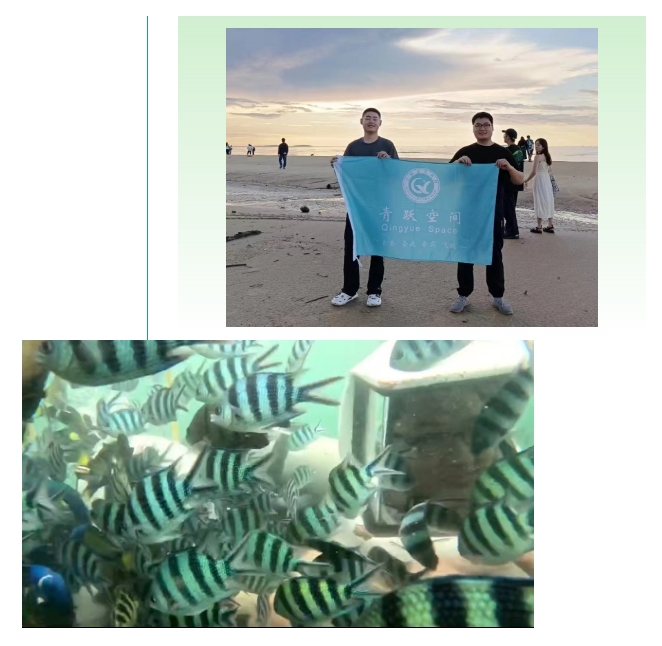 微信截圖_20250102101305.png